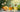 GICAM Fragrances: The art of transforming spaces, moods, and daily rituals