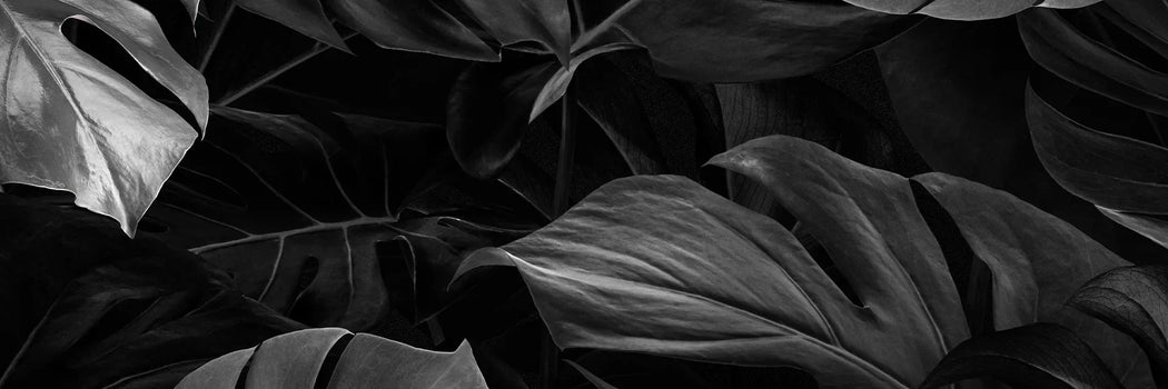 Banner collection Gicam