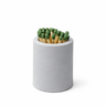 Concrete Match Holder with Striker Bottom - Gicamscents