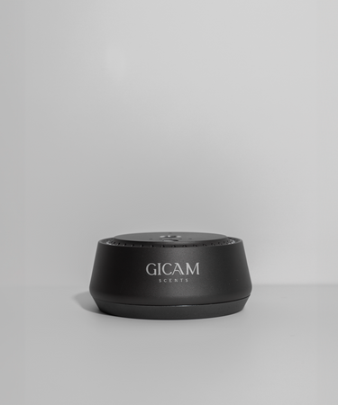 GC-Smart Car Diffuser - Gicamscents